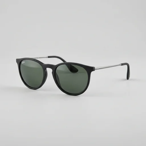 Ray-Ban Erika Classic