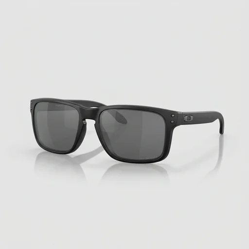 Oakley Holbrook XL view 2