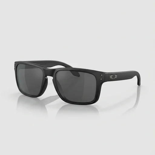 Oakley Holbrook view 2